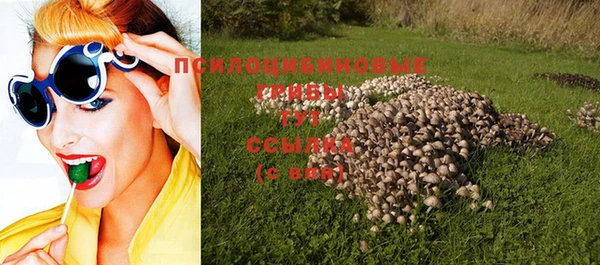apvp Балабаново