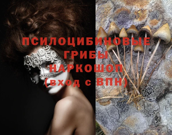 apvp Балабаново