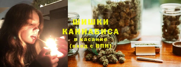 ПСИЛОЦИБИНОВЫЕ ГРИБЫ Балахна
