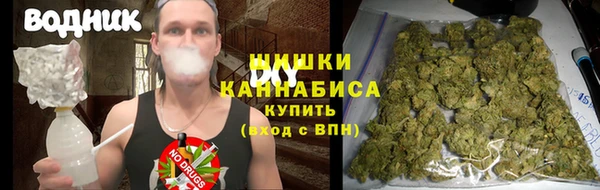 ПСИЛОЦИБИНОВЫЕ ГРИБЫ Балахна